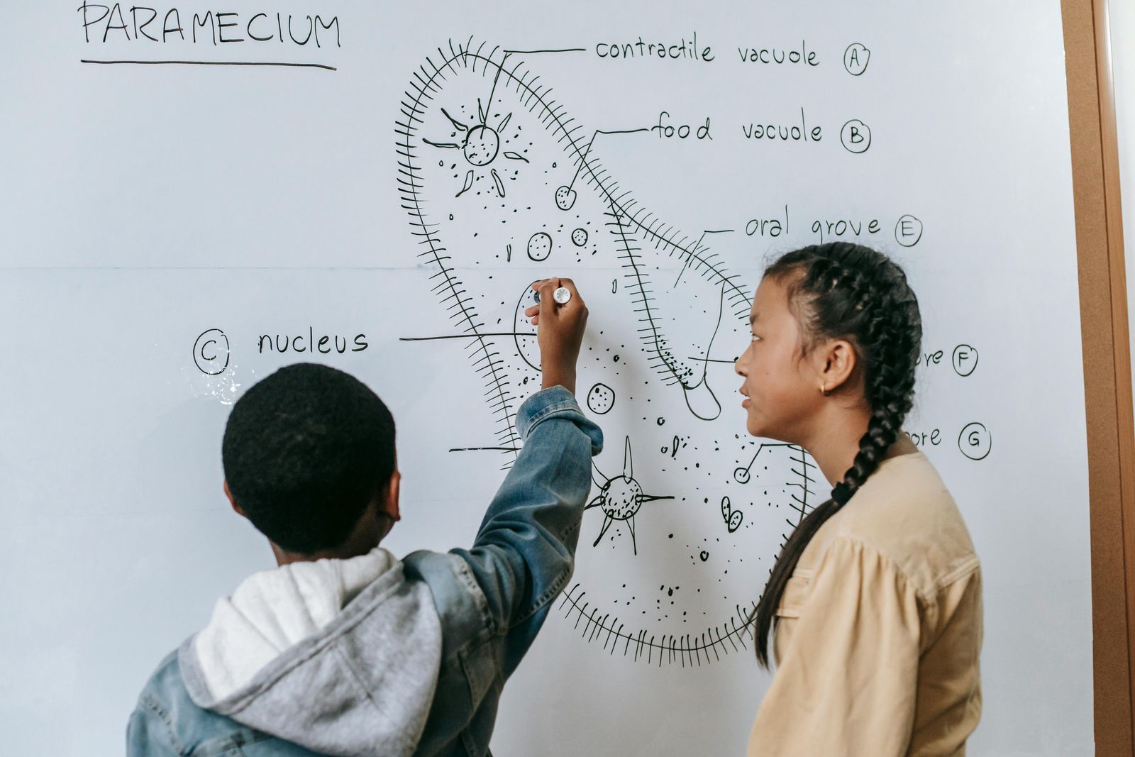 Students collaborating on a science lesson